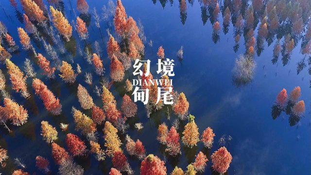 逃离沙漠的遗迹