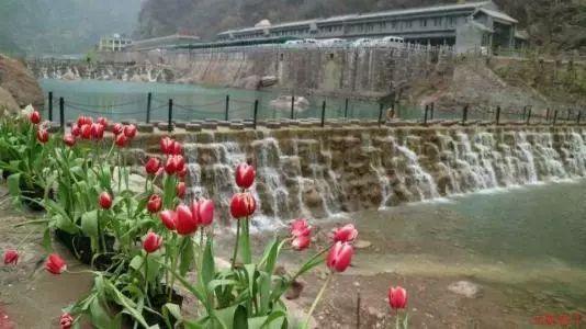 动物滑动拼图