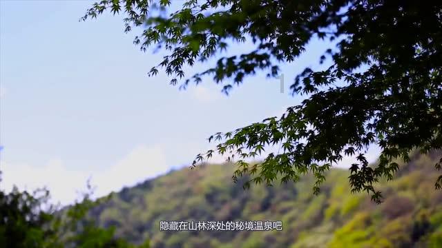 内蒙有什么特产游戏画面