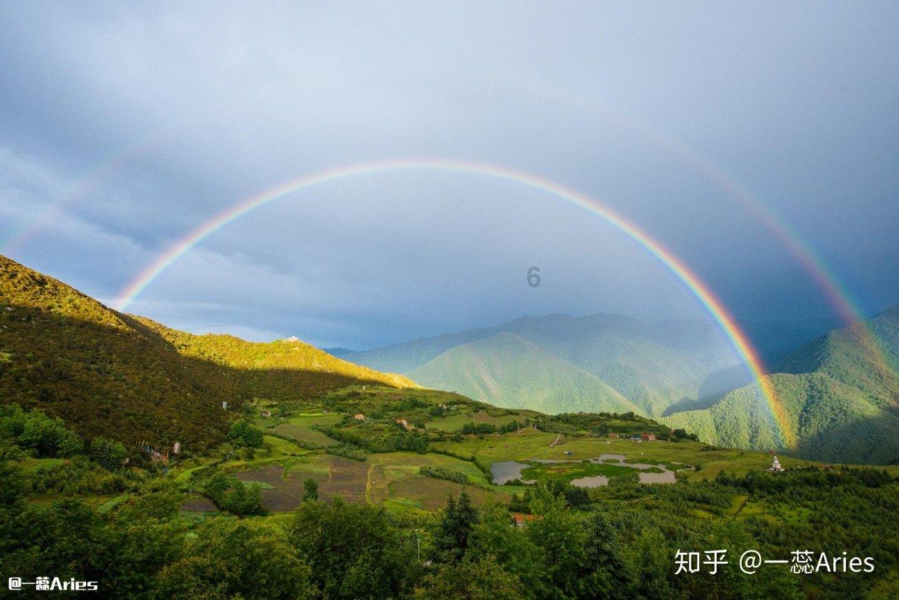保护僵尸火种