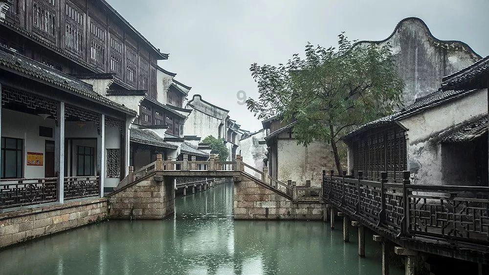 逗小猴开心系列171